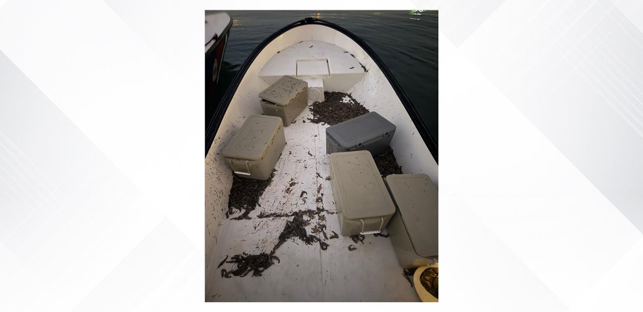 خفر السواحل : ضبط 4 آسيويين اصطادوا الروبيان بواسطة شباك الجر القاعية الممنوعة<